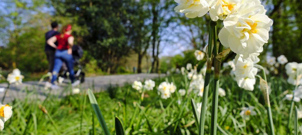 Bochum-Innenstadt: Appolonia-Pfaus Park bekommt Make-over