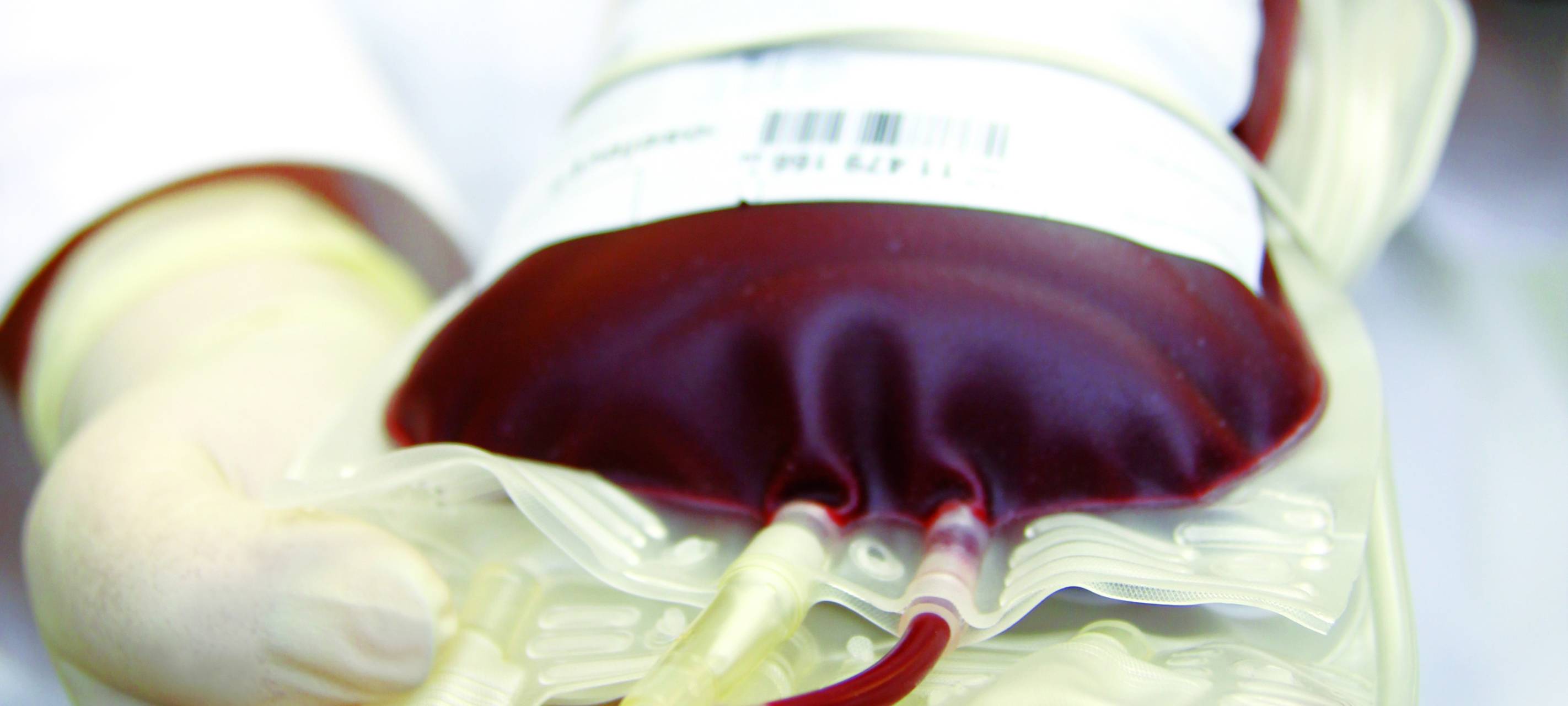 DRK Wattenscheid ruft zu Blutspenden auf