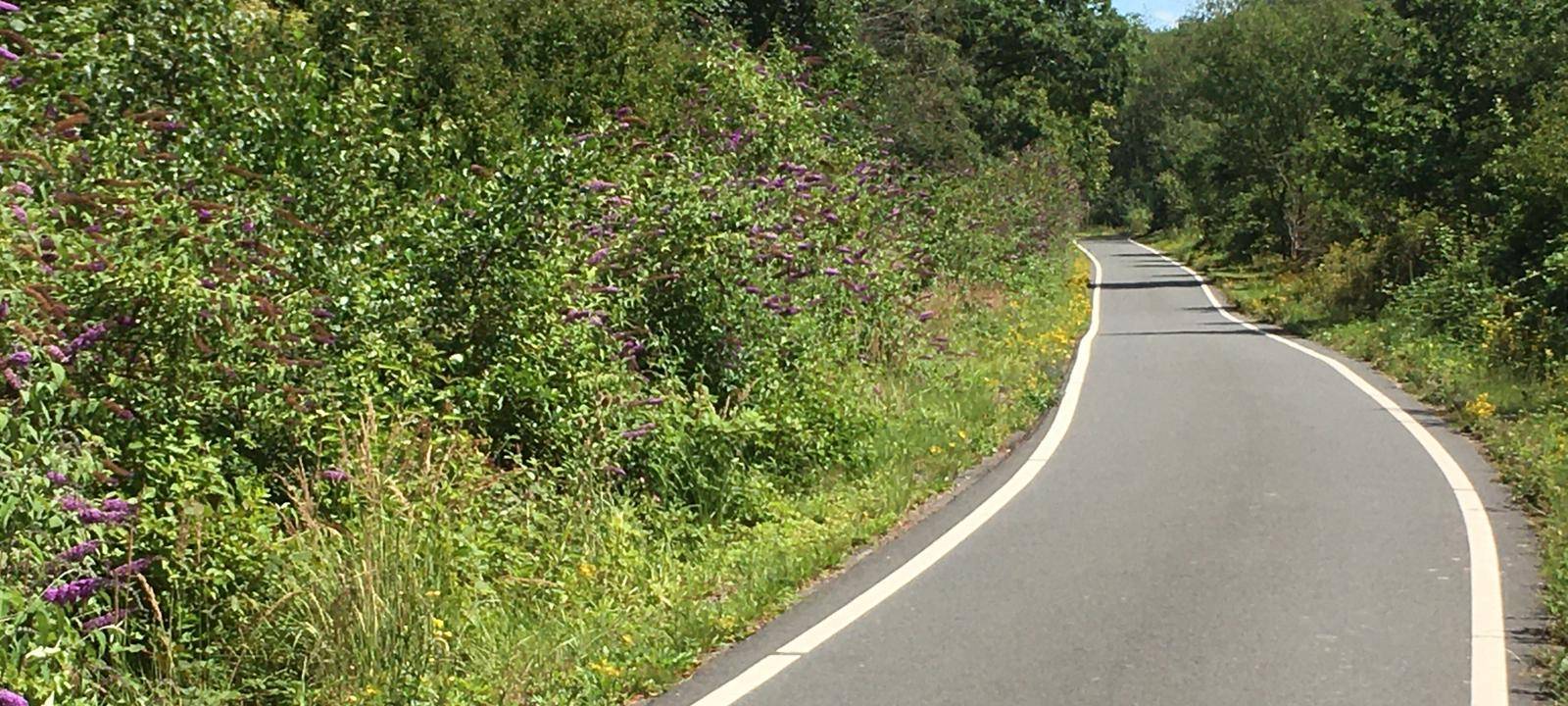 Der Springorum Radweg.