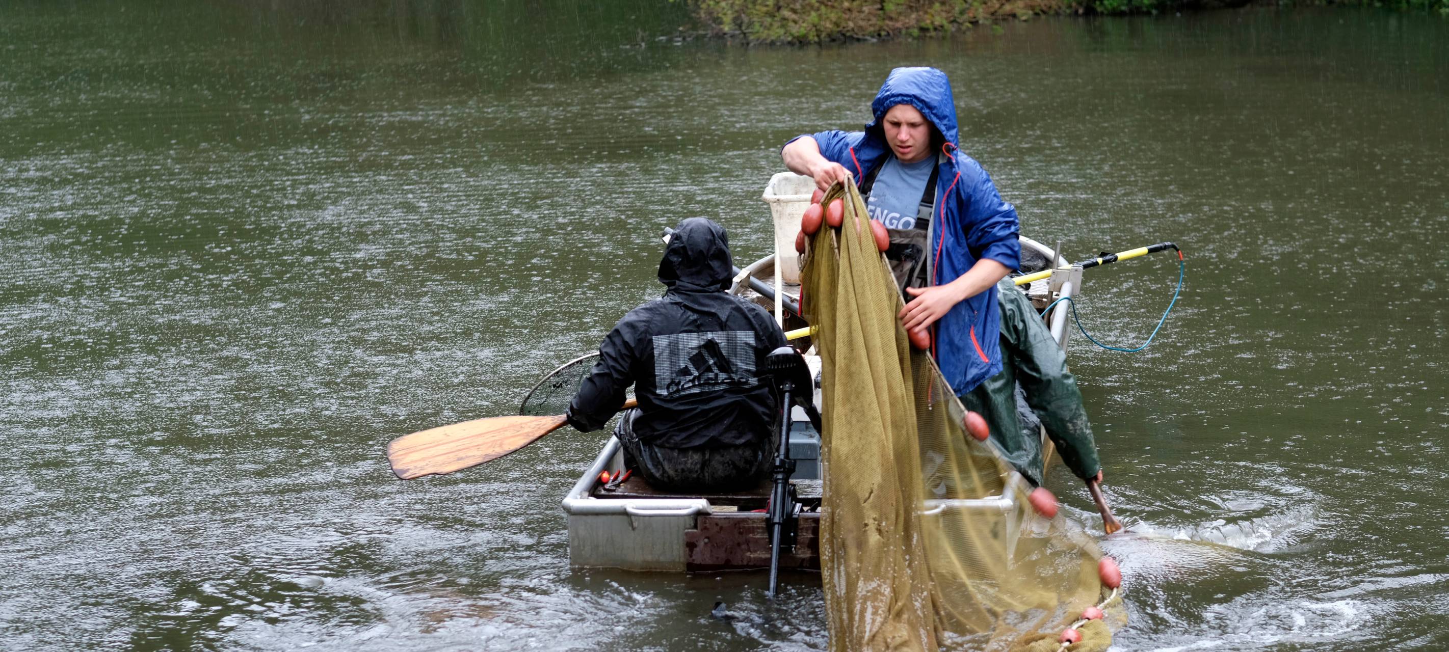 Teiche in Bochum: Fische müssen abgefischt werden