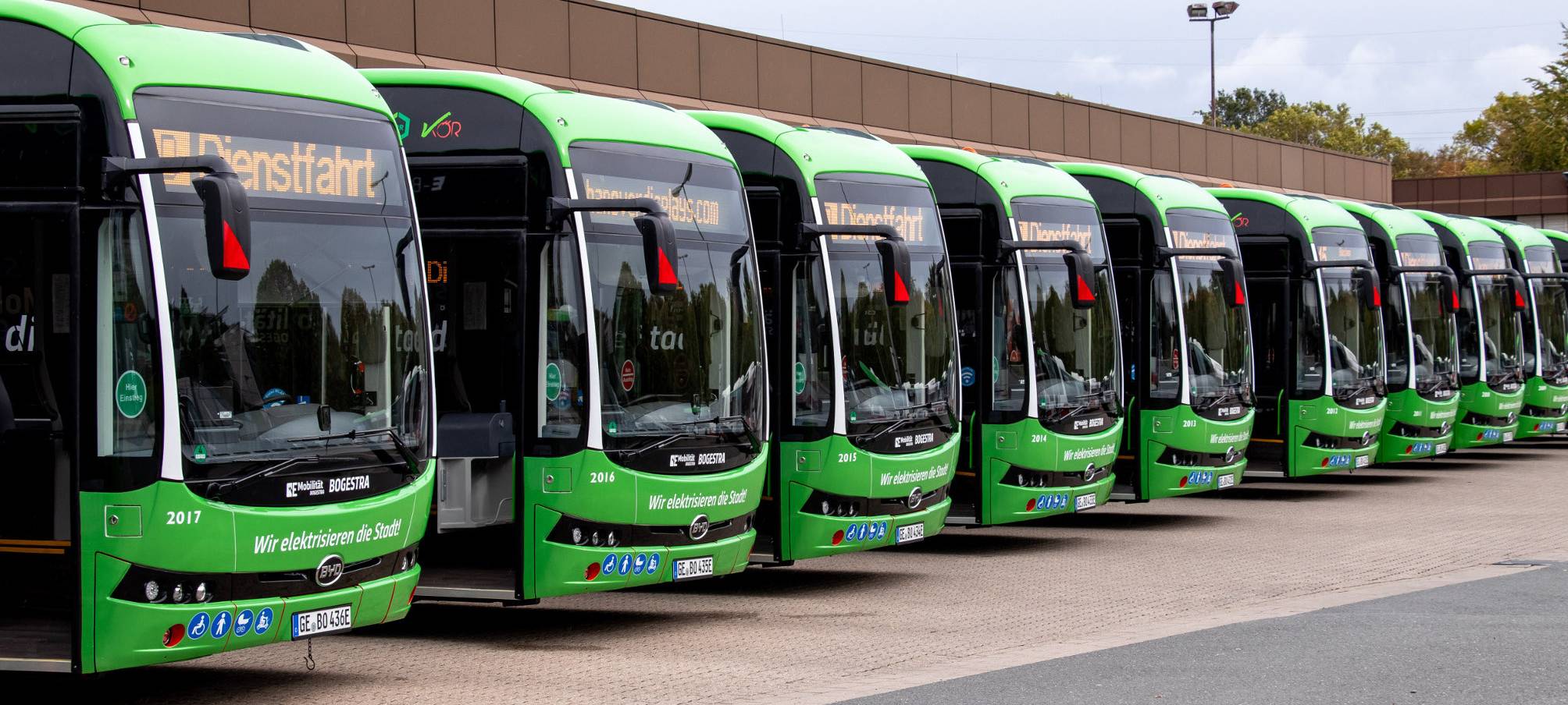 Grüne Busse stehen aufgereiht