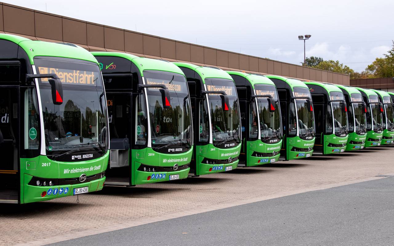 Grüne Busse stehen aufgereiht