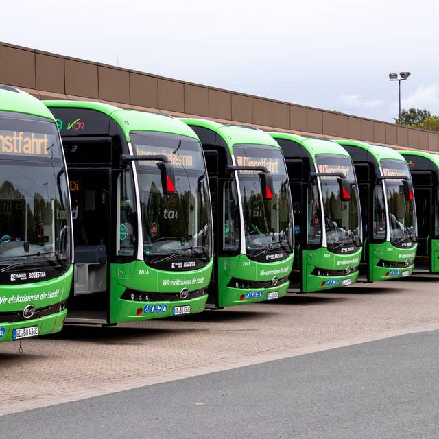 Grüne Busse stehen aufgereiht