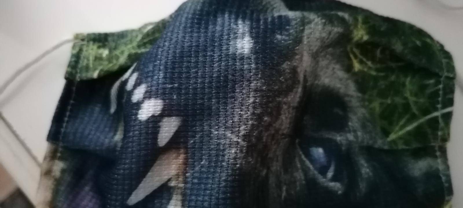 Radio Bochum sucht: Bochums hässlichste Maske