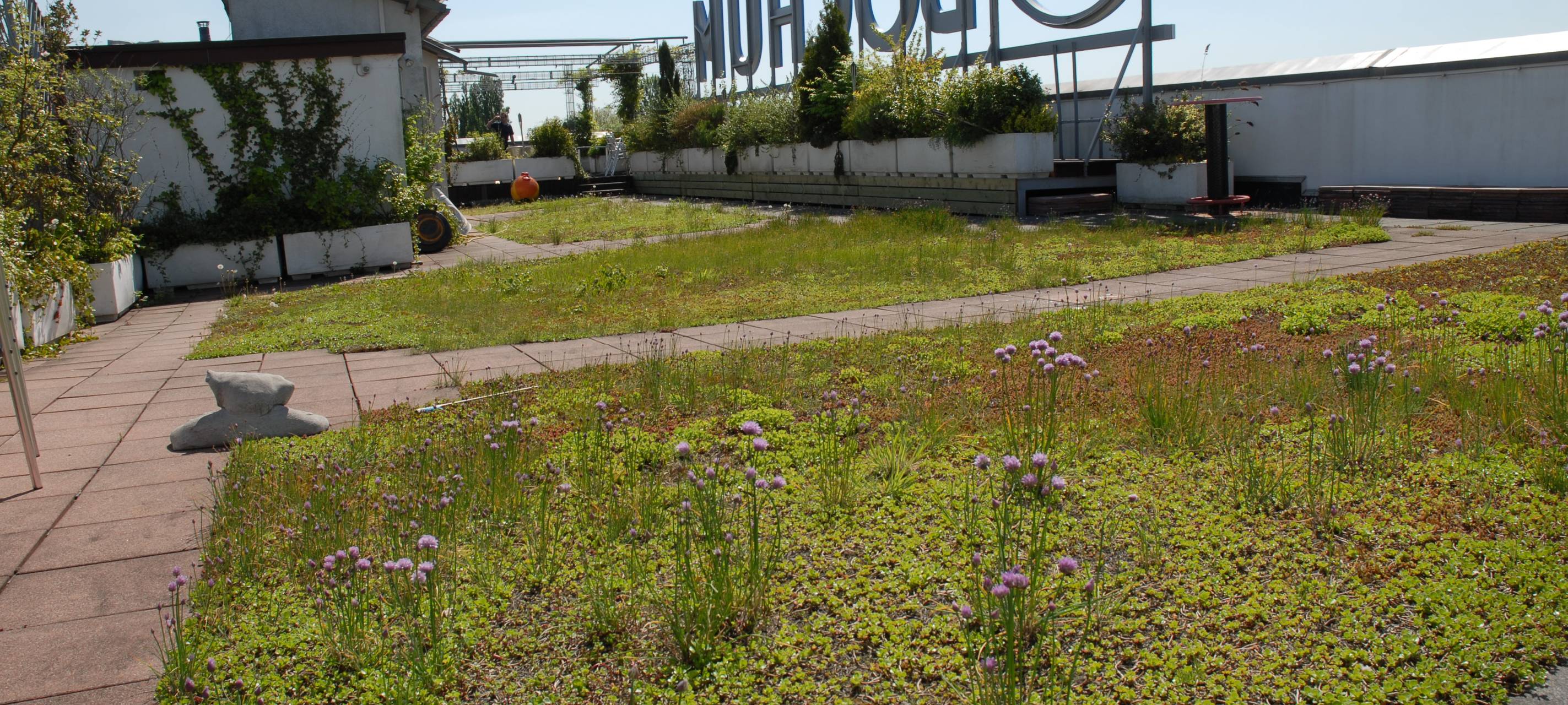 Bochum: Begrünungsprogramm abgeschlossen