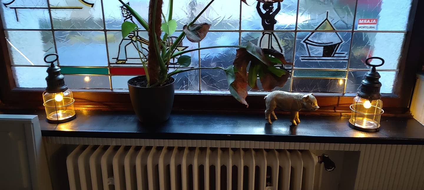 Virtueller Sankt Martinsumzug