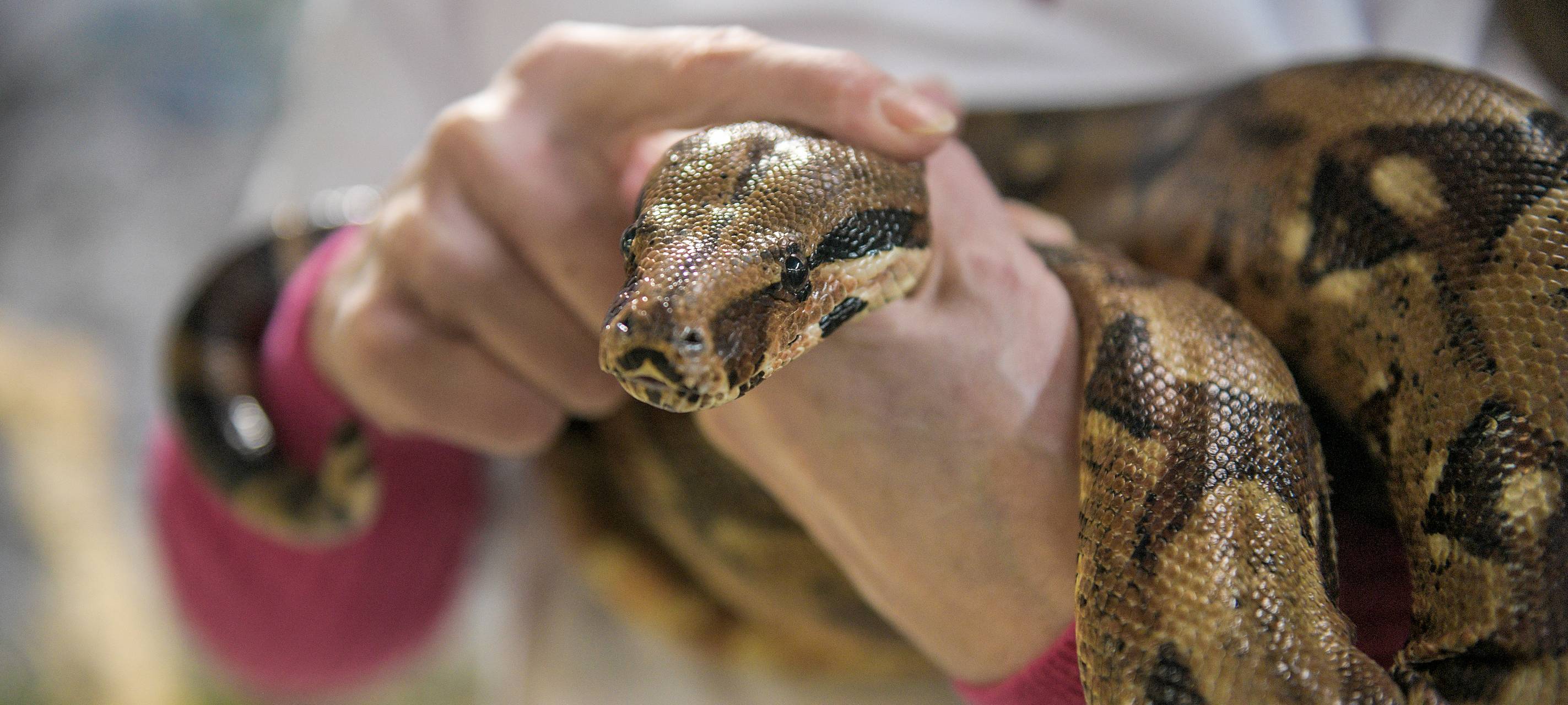 Tierpark und Feuerwehr kooperieren