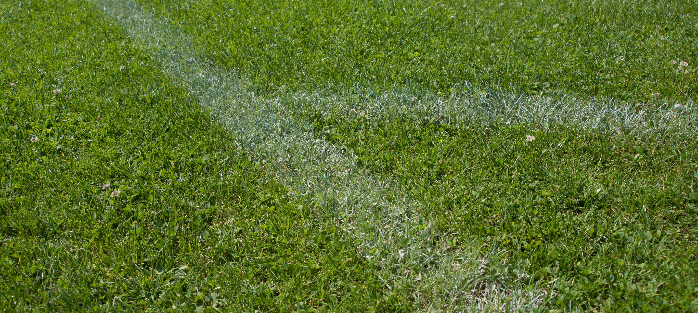 VfL Bochum: Ruhrstadion braucht keinen neuen Rasen