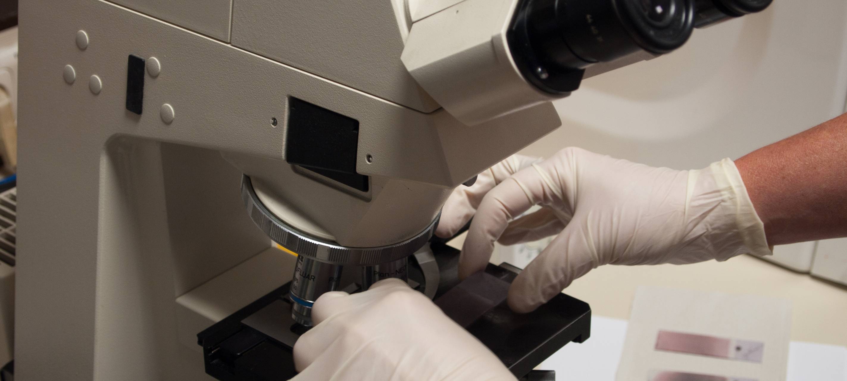 Corona-Viren-Forschung