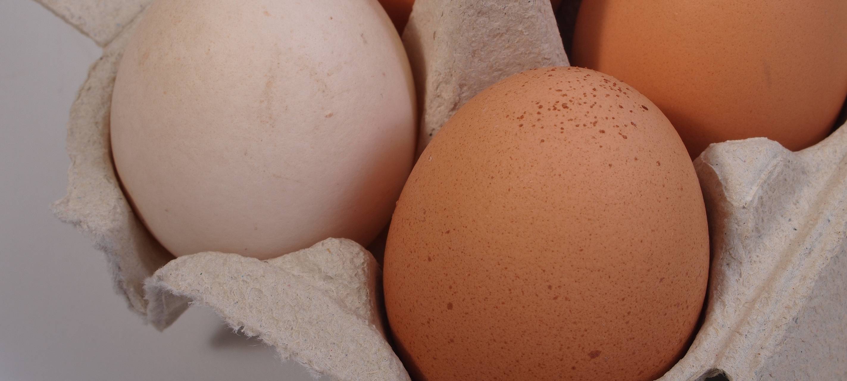 Verbraucherzentrale Bochum: abgelaufene Lebensmittel testen, bevor sie weggeschmissen werden