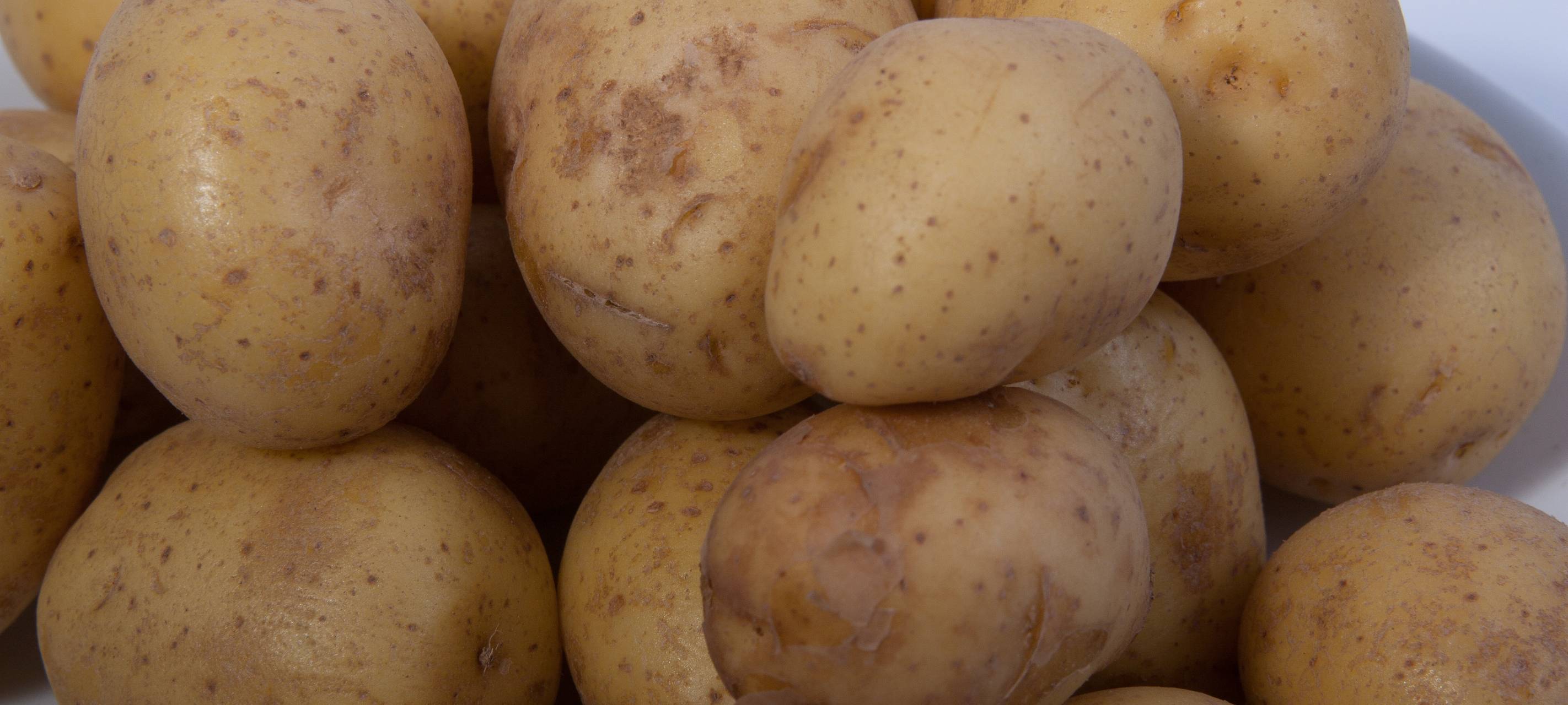 Neue Hochbeete für Bochum