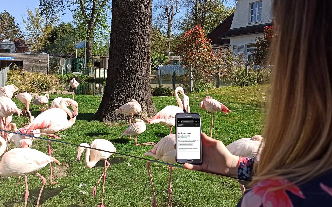 Frau zeigt Smartphone-App mit Flamingos im Eingangsbereich des Tierparks im Hintergrund 