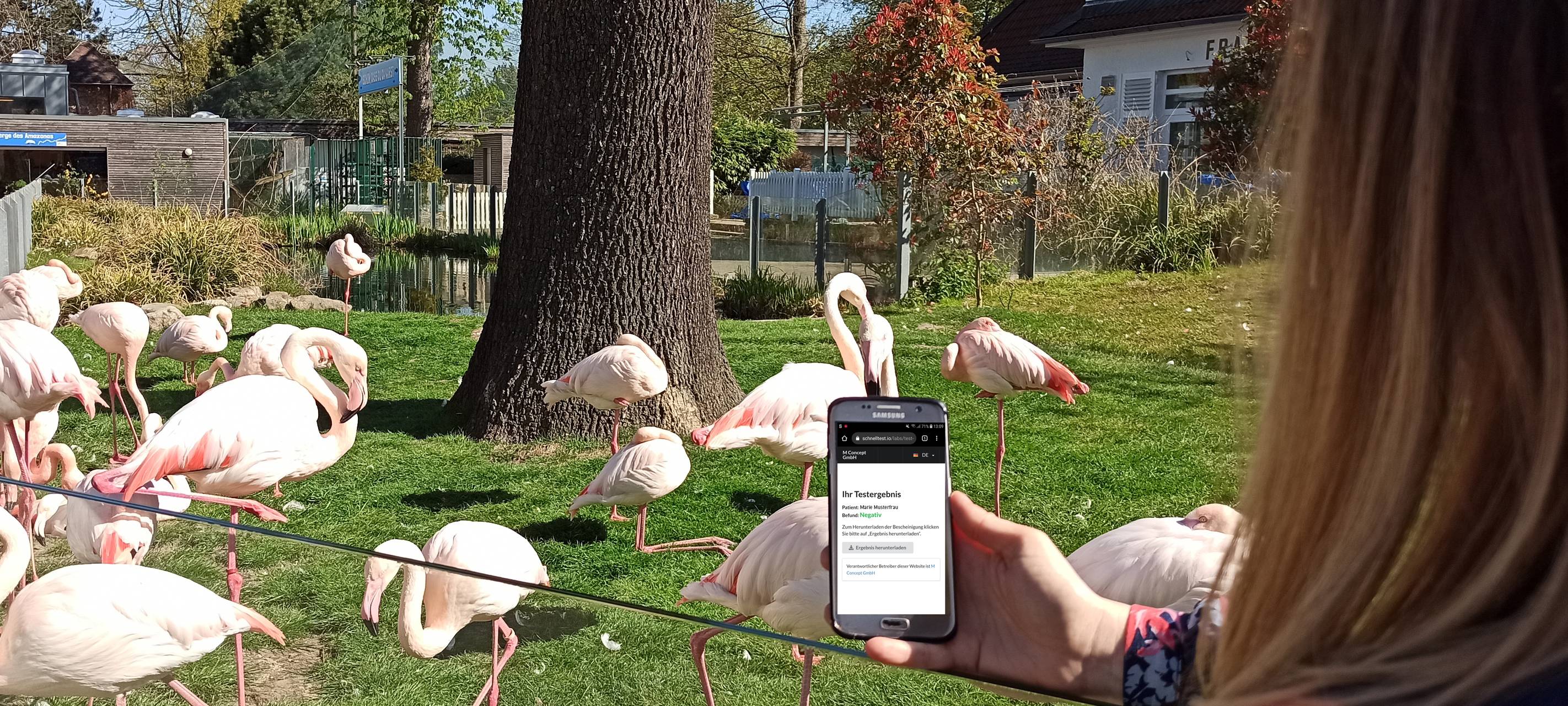 Frau zeigt Smartphone-App mit Flamingos im Eingangsbereich des Tierparks im Hintergrund