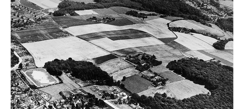 Freie Landschaft mit Feldern und Wäldern