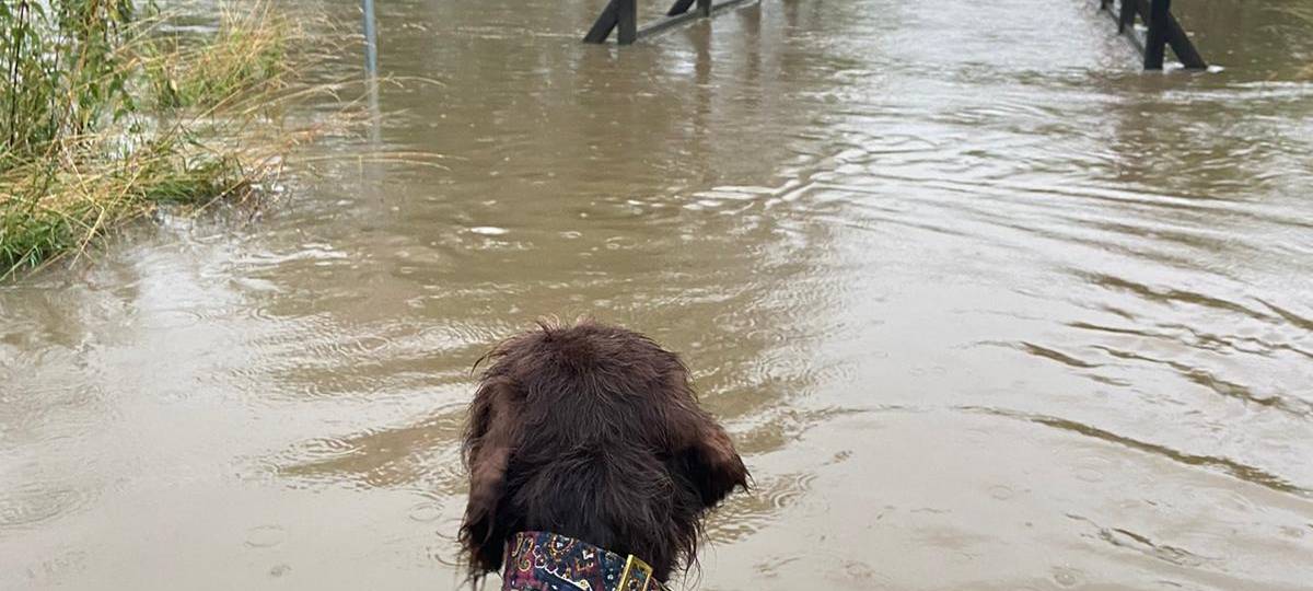 Bochum-Dahlhausen: Überflutung befürchtet