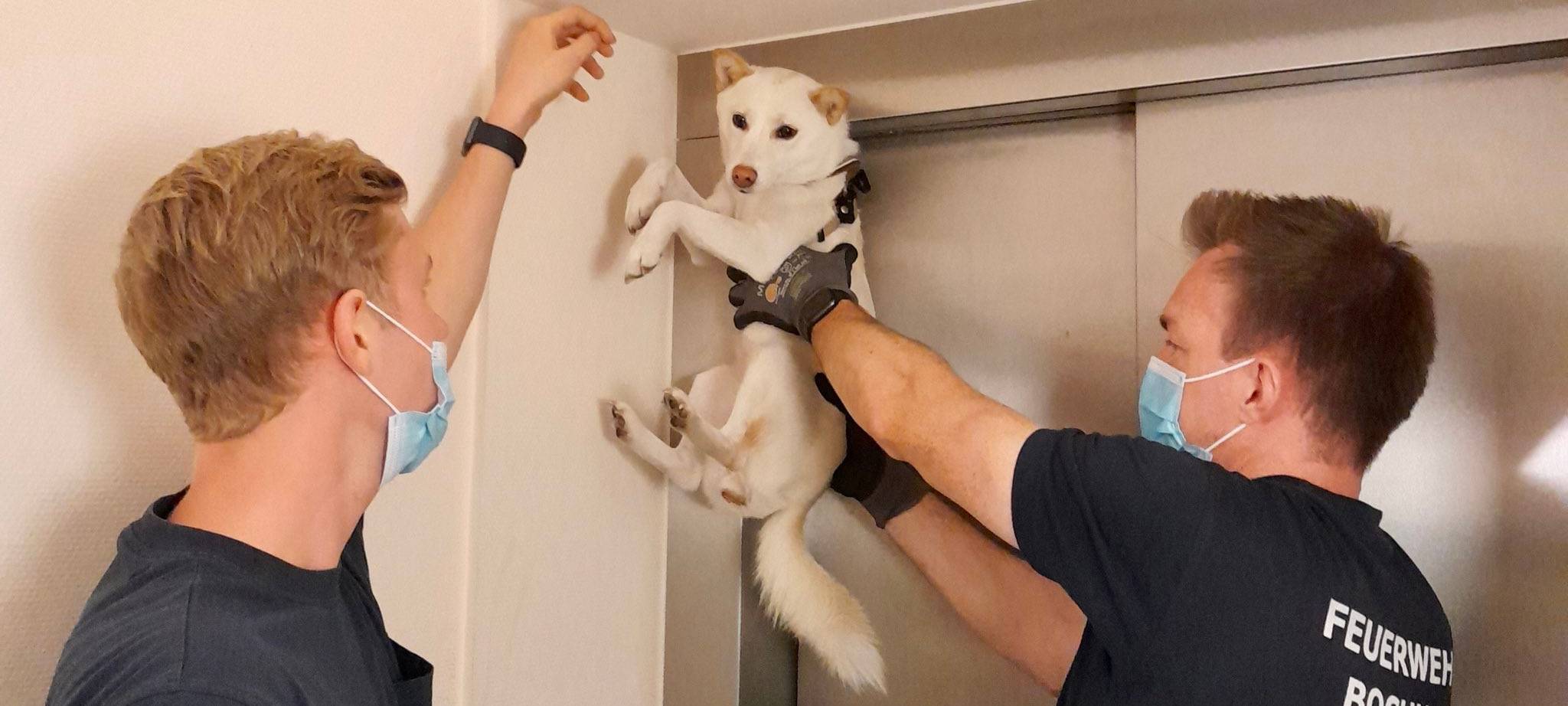 Zwei Männer haben einen Hund in der Hand, der oben an der Fahrstuhltür hängt