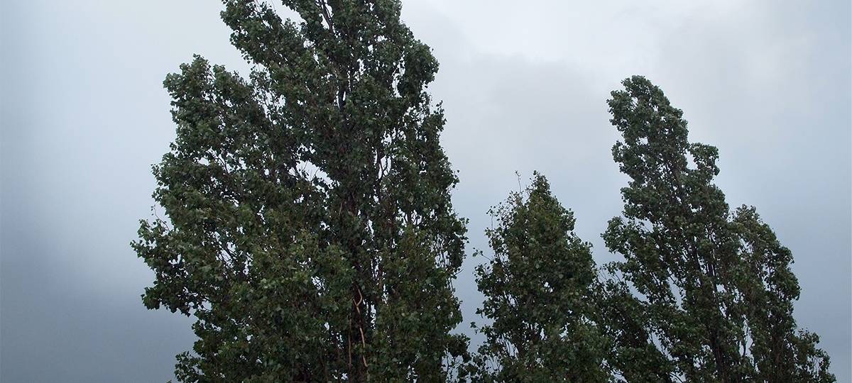 Bochumer Feuerwehr: Vom Sturm nicht beunruhigt
