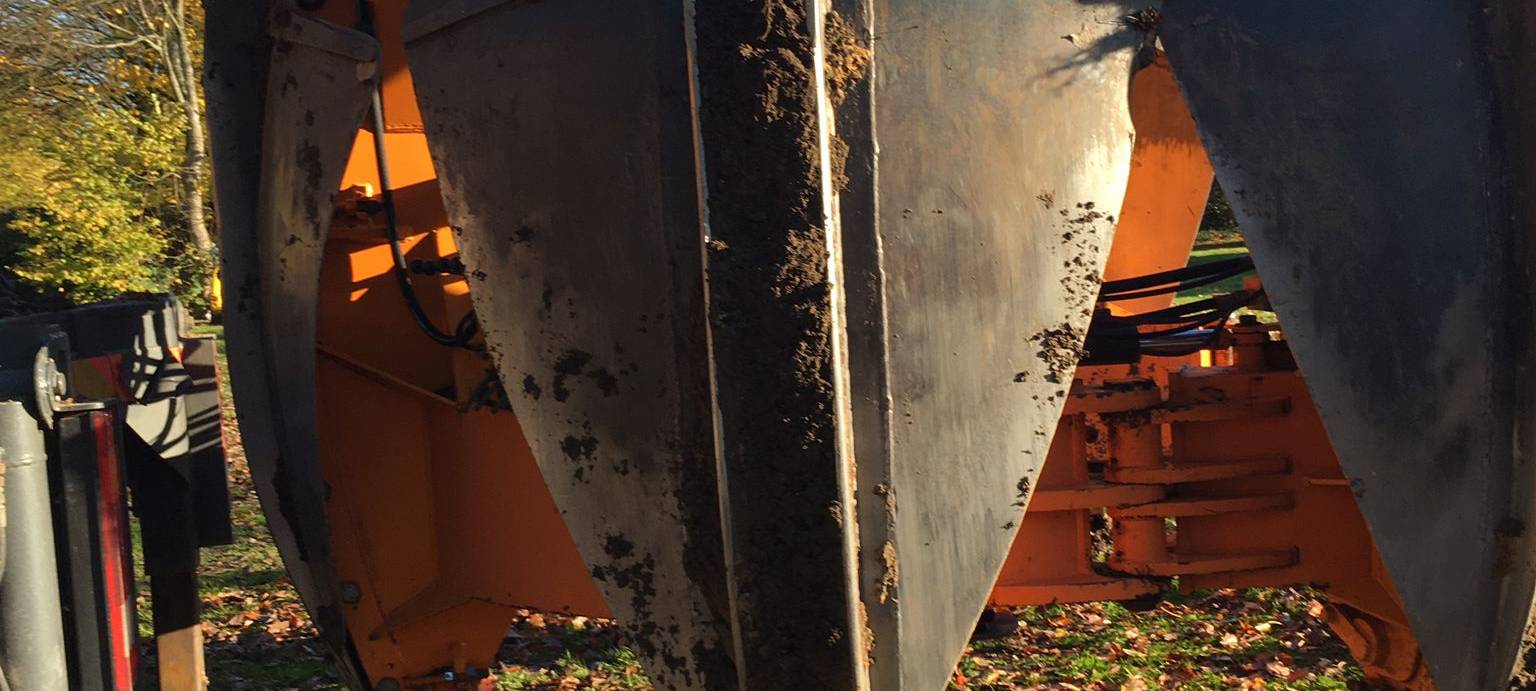 Bochum: Bäume werden verschoben