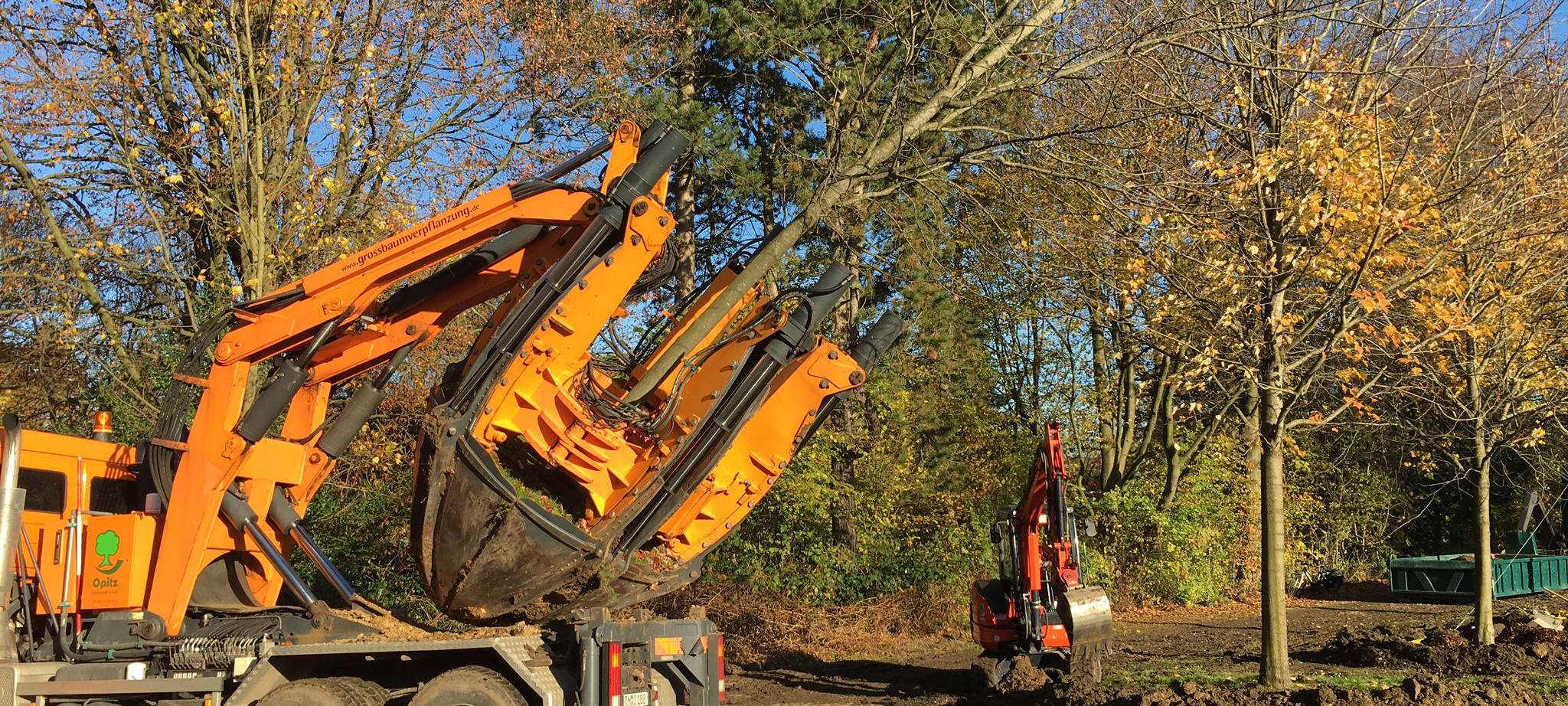 Bochum: Bäume werden verschoben