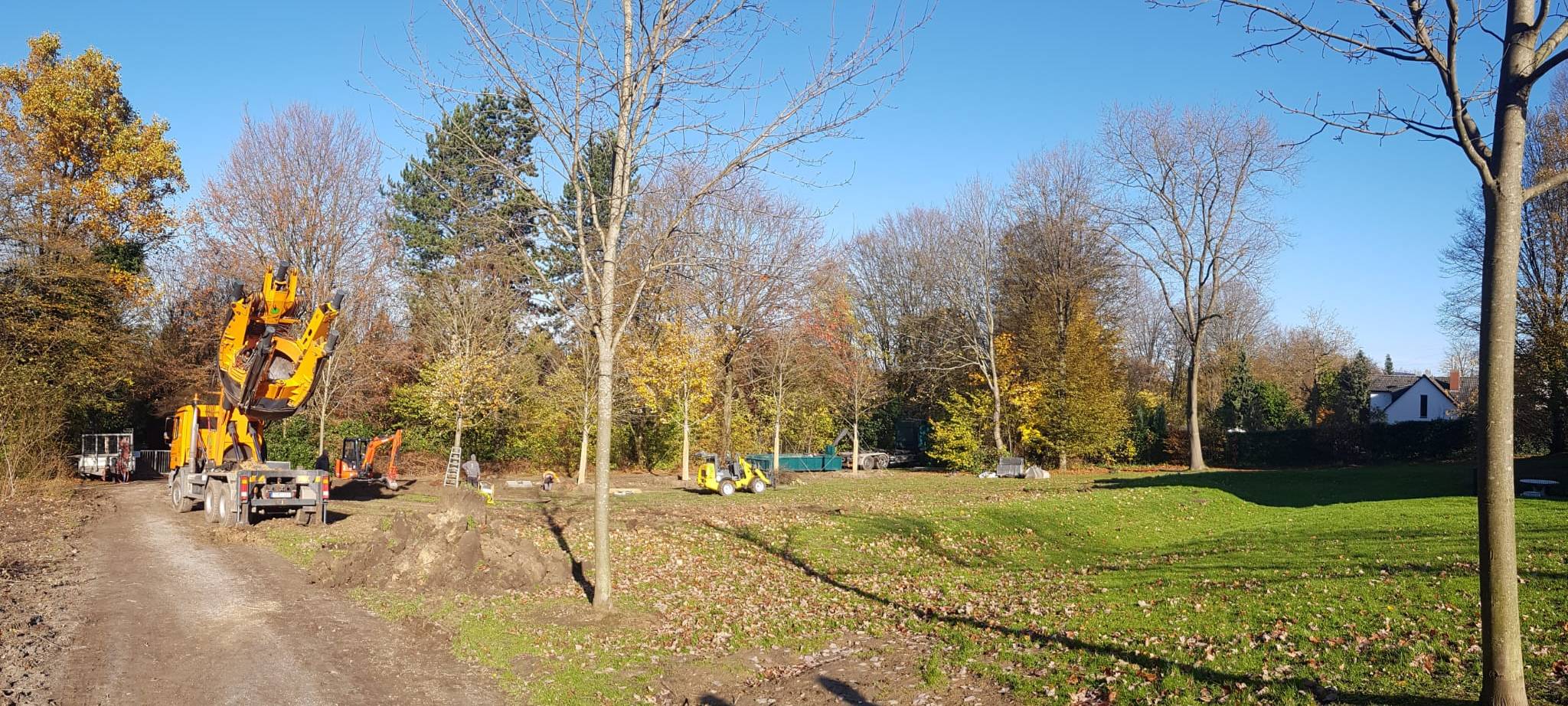 Bochum: Bäume werden verschoben