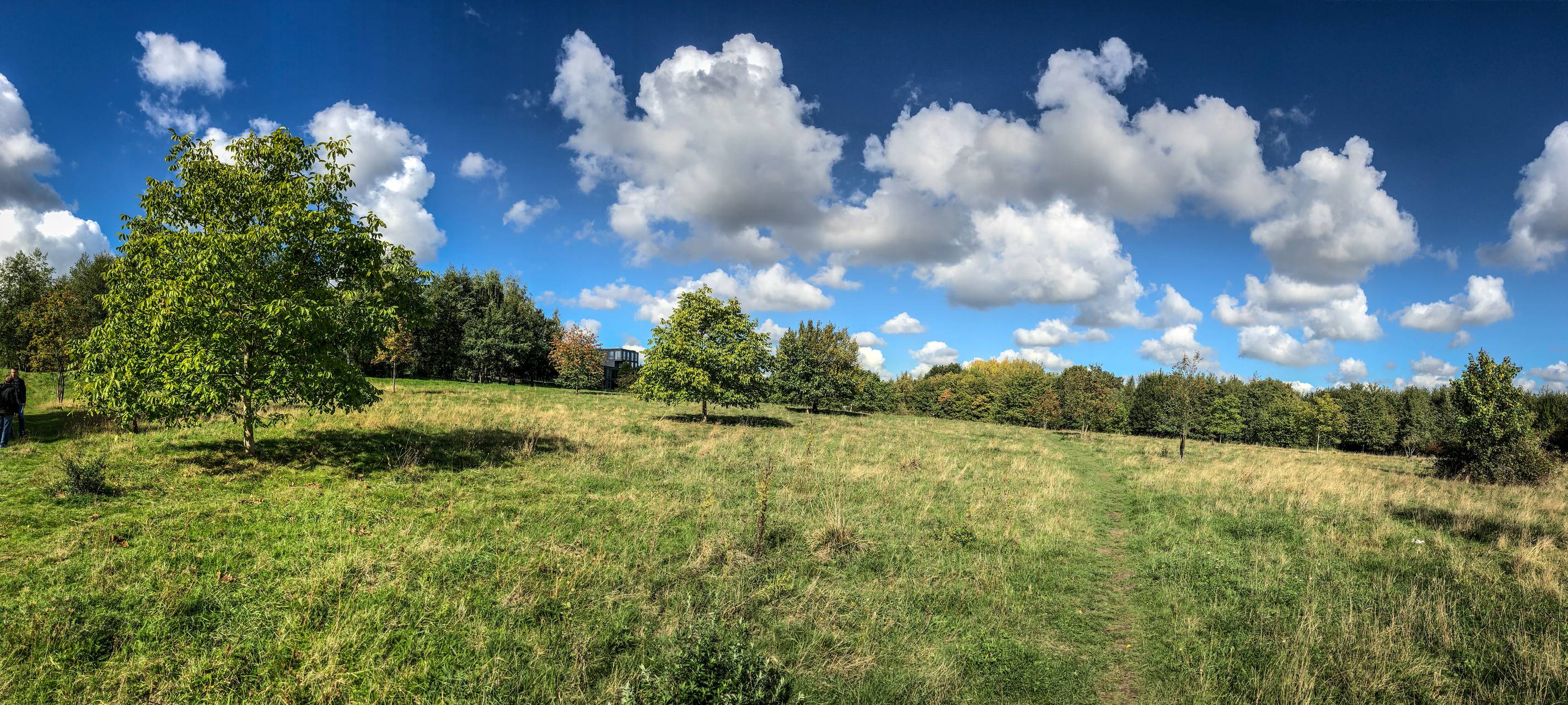 Naturschutzgebiet Auf dem Kalwes in Bochum