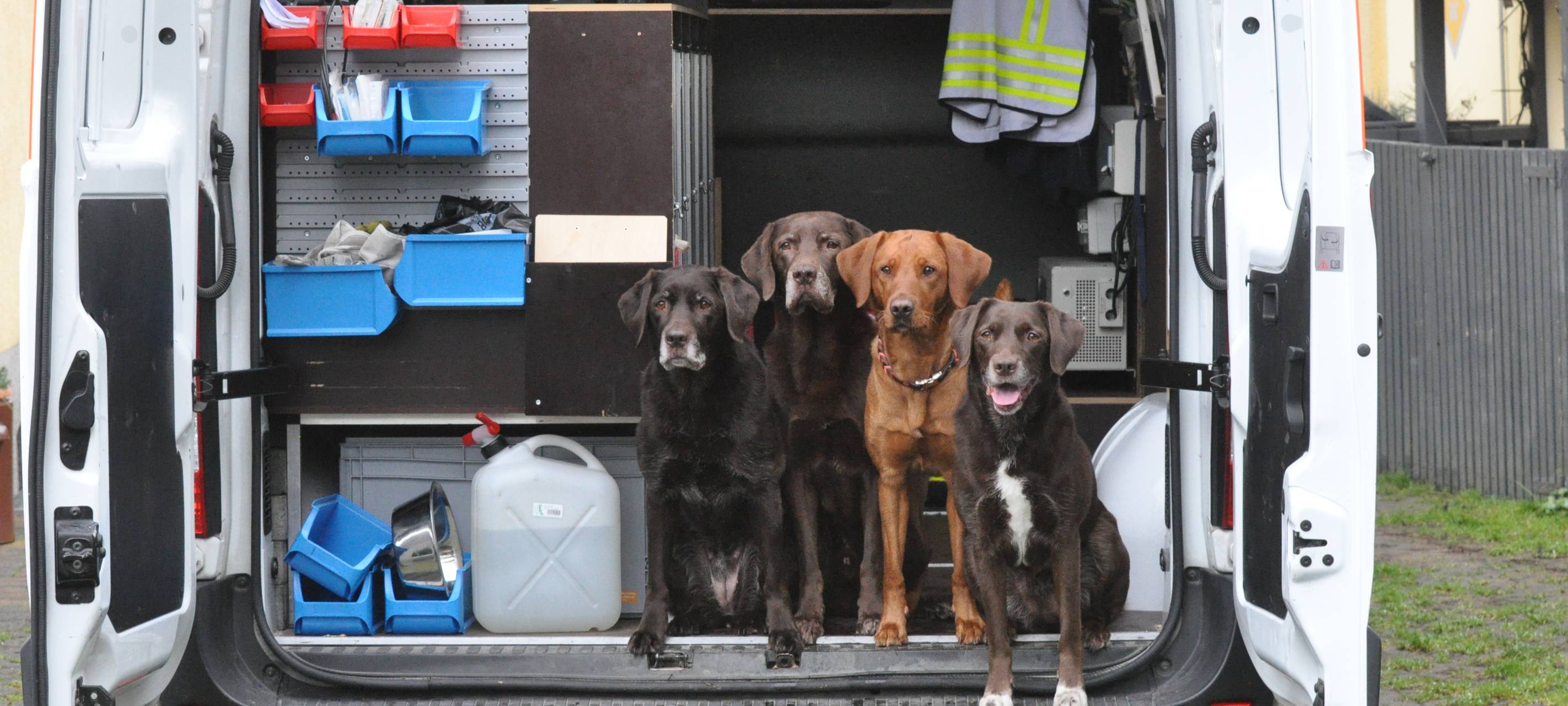 Rettungshundestaffel Bochum sucht Unterstützer