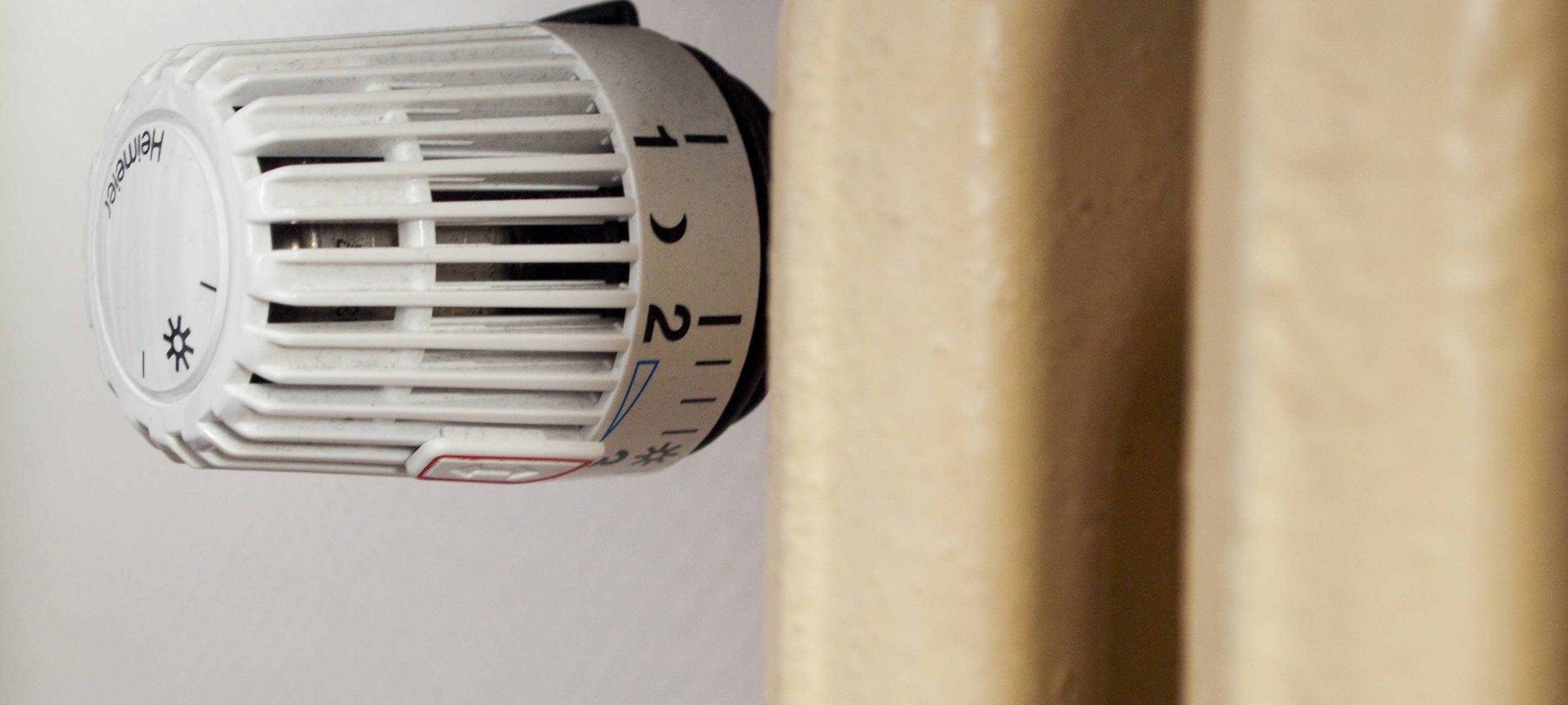 Grüne in Bochum fordern Gas-Notfallplan