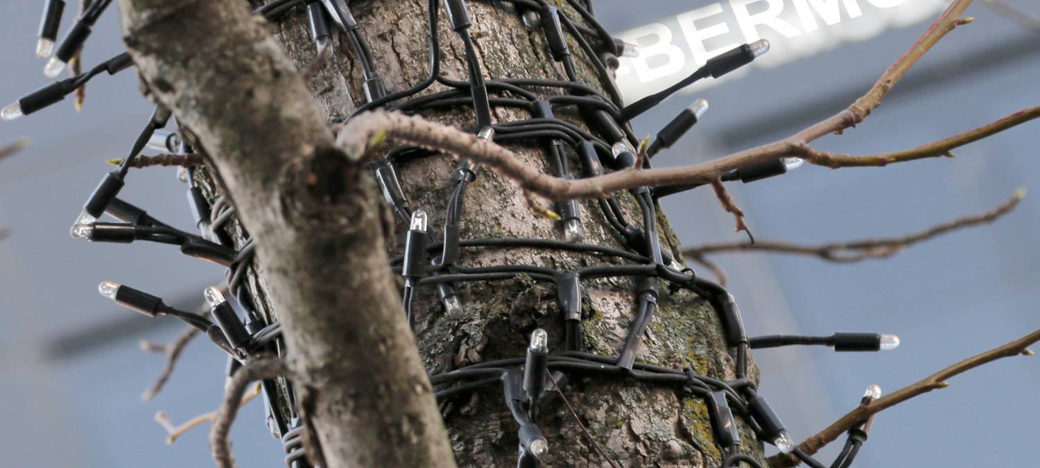 Mitwachsende Lichterketten