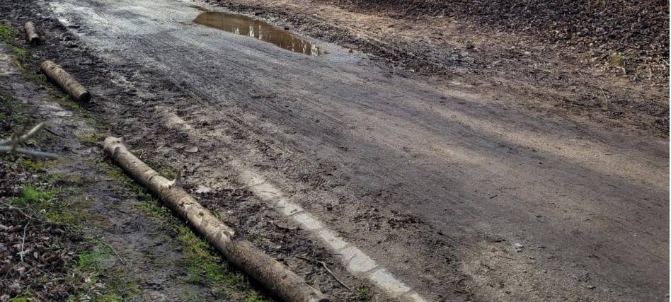 Parkband West Bochum