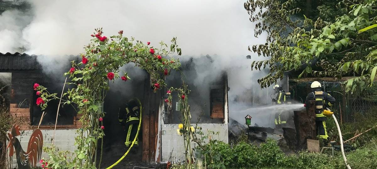 Ausgebrannte Laube mit Pflanzen drumherum