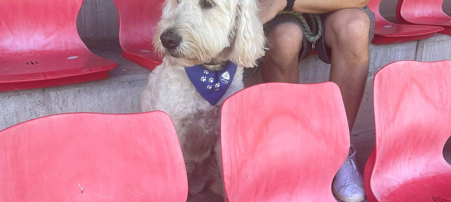 VfL Bochum im Trainingslager in Südtirol