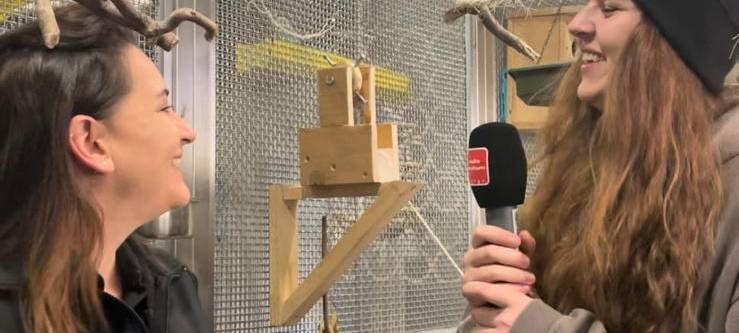 Kira hilft im Tierheim Riemke