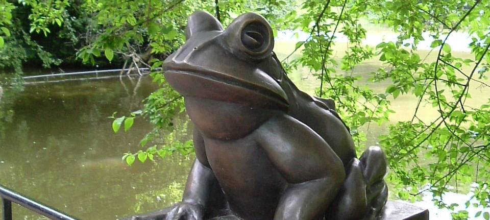 Frosch Fridolin zurück im Stadtpark Bochum