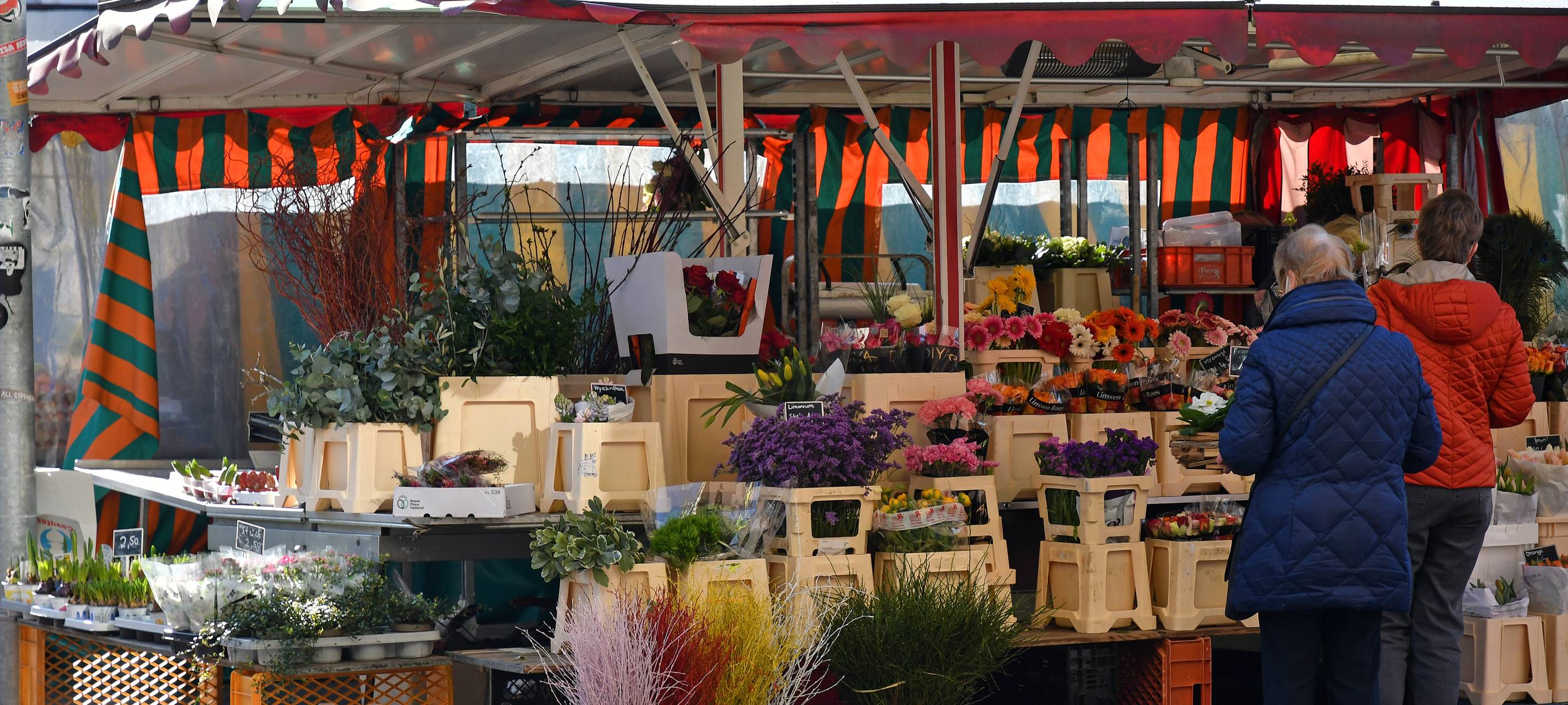Deutsche Marktgilde startet in den Marktbetrieb