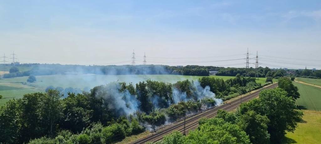 Bochum: Mehrere Vegetationsbrände am Wochenende