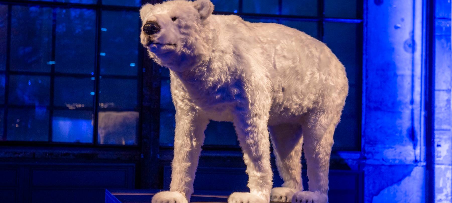 Radio Bochum on Ice 2023