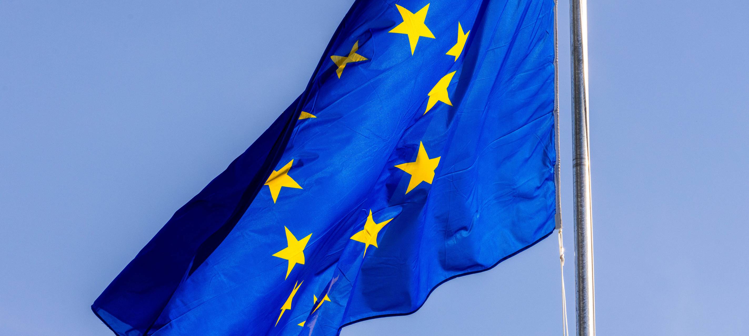 Europawahl: Wen soll ich wählen? Wahl-O-Mat gibt Entscheidungshilfe