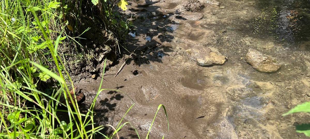 Bochum: Ostbach ist fertig