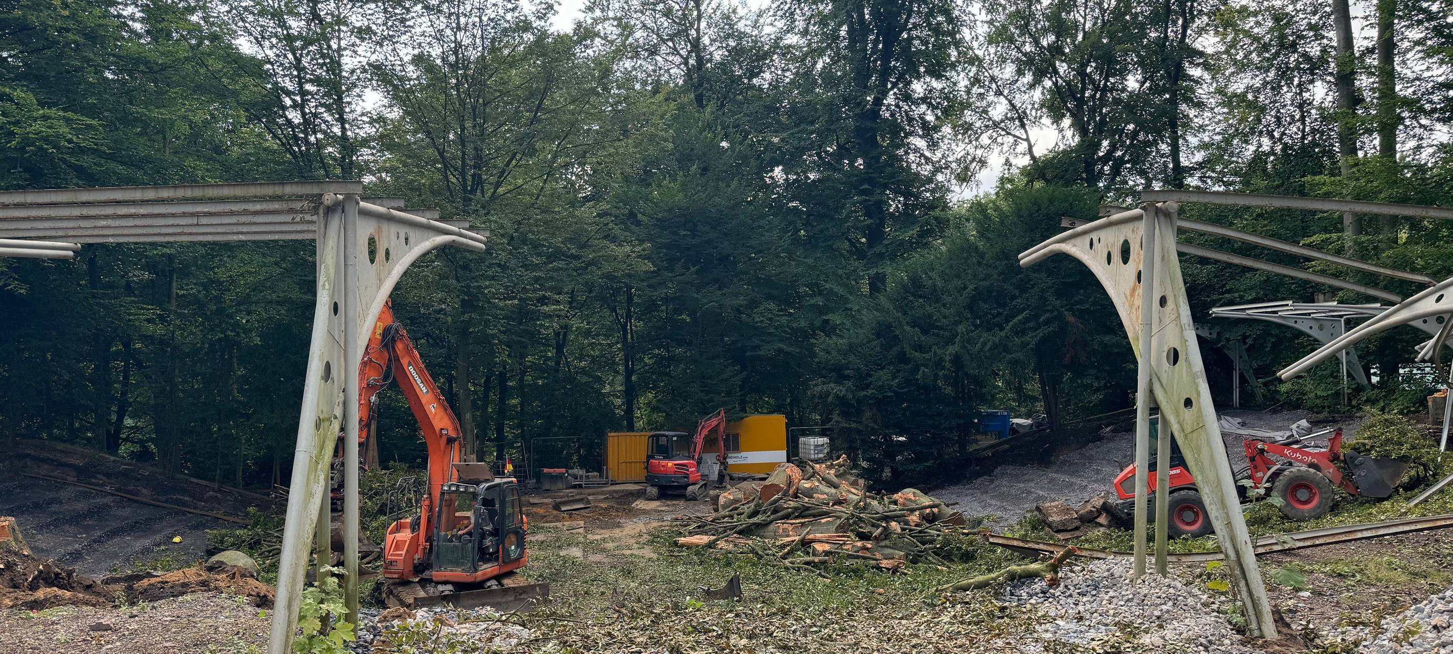 Baum stürzt auf Waldbühne Höntrop in Bochum-Wattenscheid