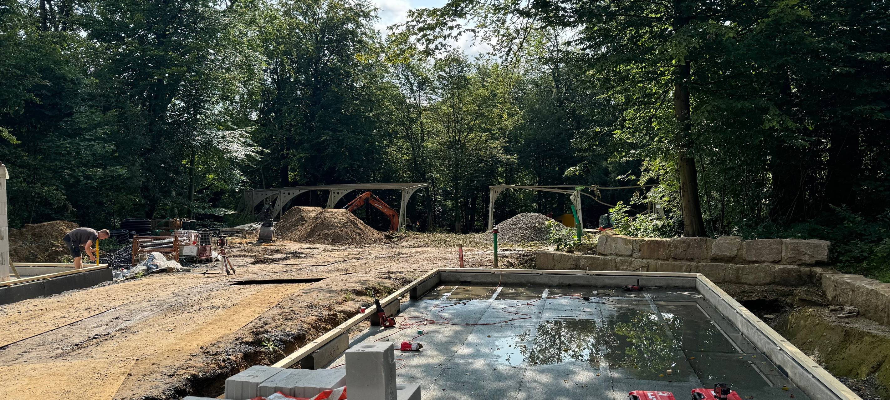 Baum stürzt auf Waldbühne Höntrop in Bochum-Wattenscheid