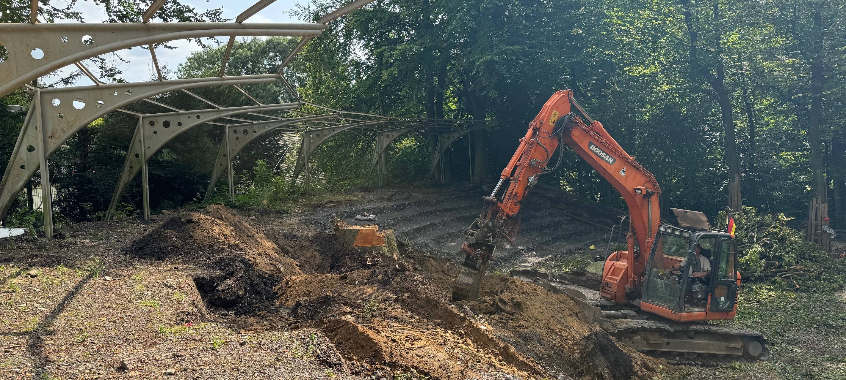 Baum stürzt auf Waldbühne Höntrop in Bochum-Wattenscheid