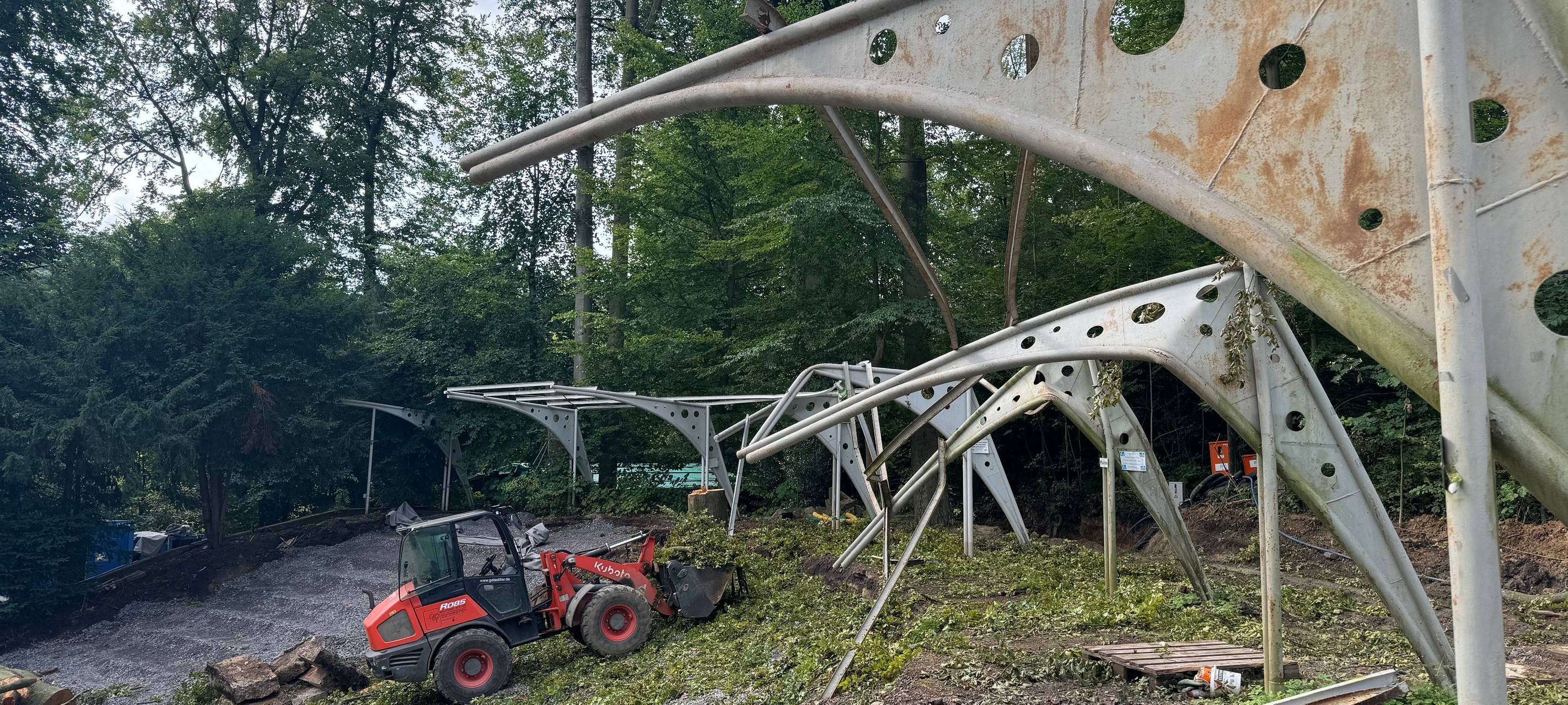 Baum stürzt auf Waldbühne Höntrop in Bochum-Wattenscheid