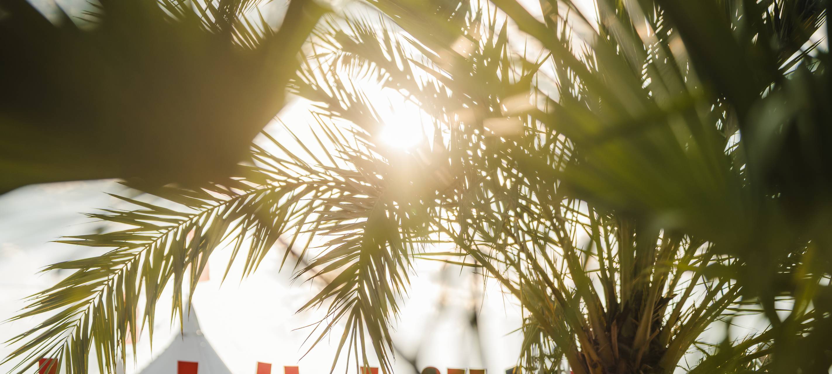 Foto: Fynn Graebe/ GRAEBE MEDIA