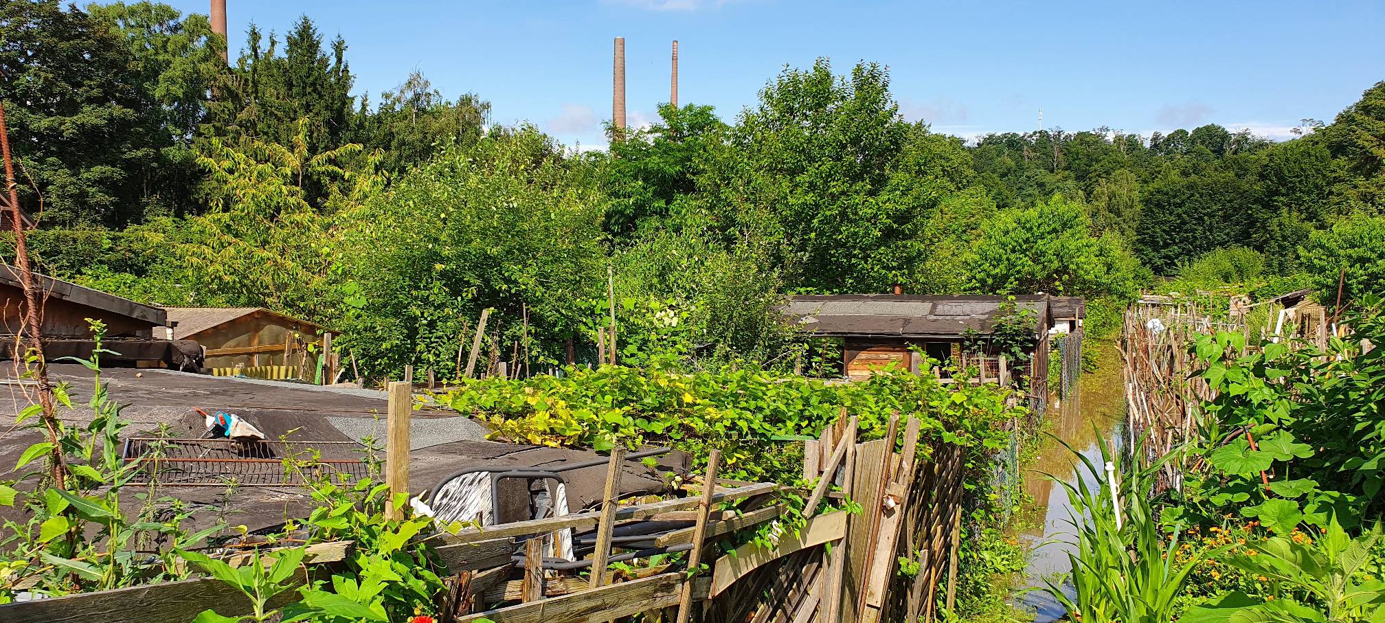Grabeland in Bochum-Dahlhausen wird nicht bebaut