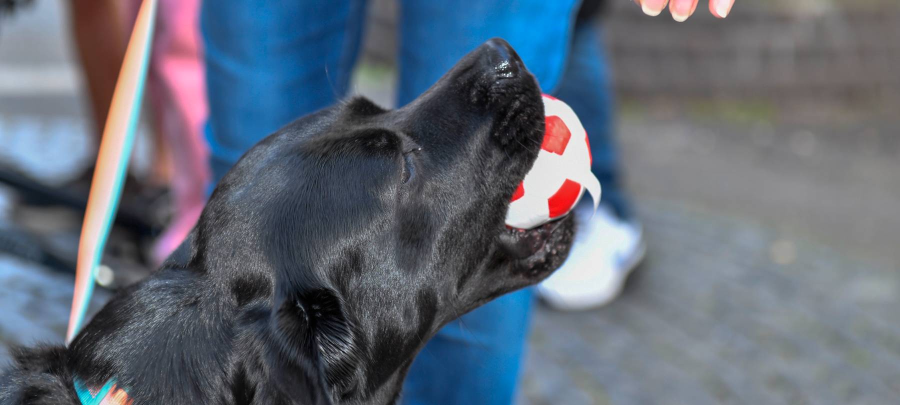 Unser Tag der offenen Tür