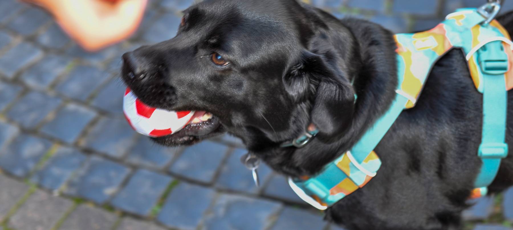 Unser Tag der offenen Tür