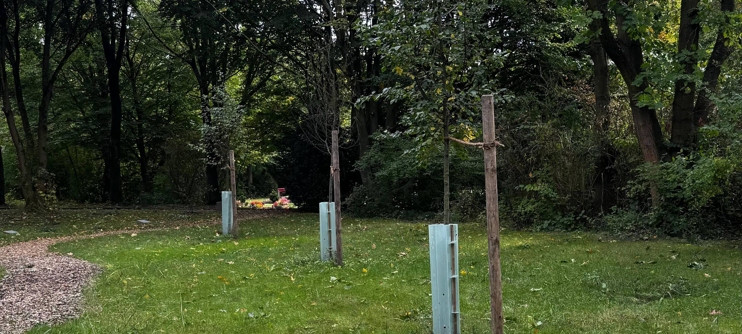 Naturnahe Bestattungen in Bochum