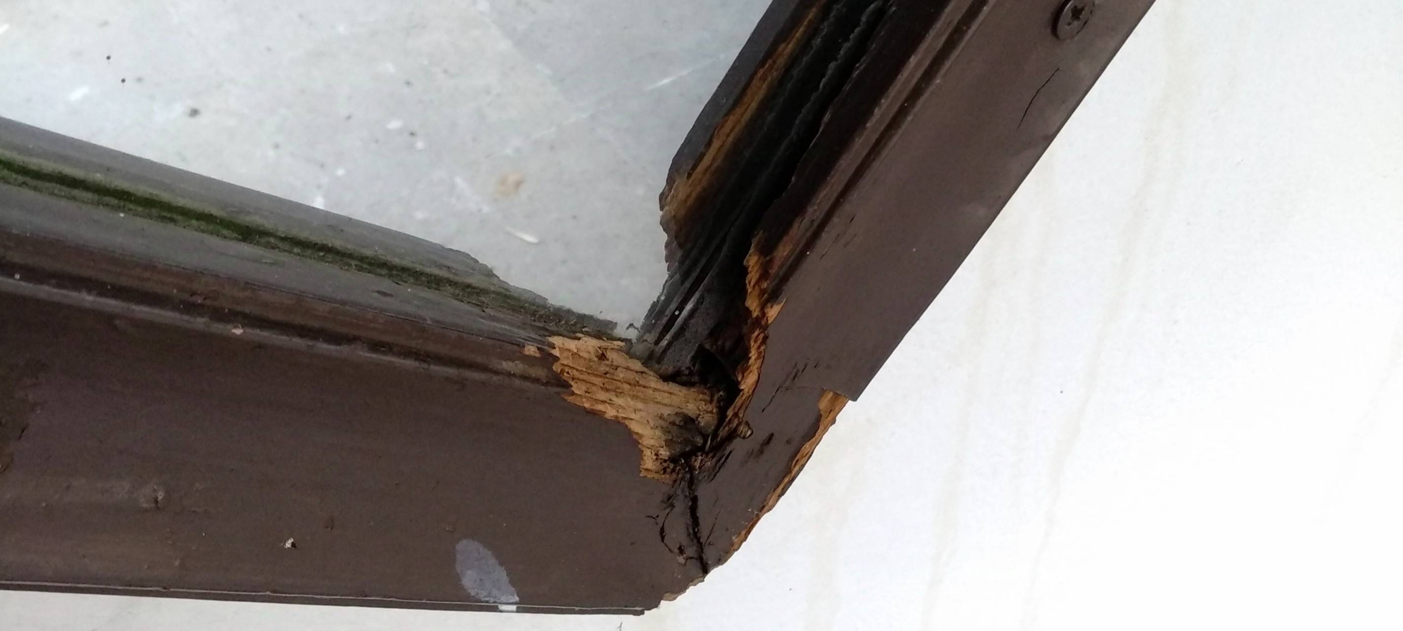 Bochum: Chinesischer Garten muss saniert werden