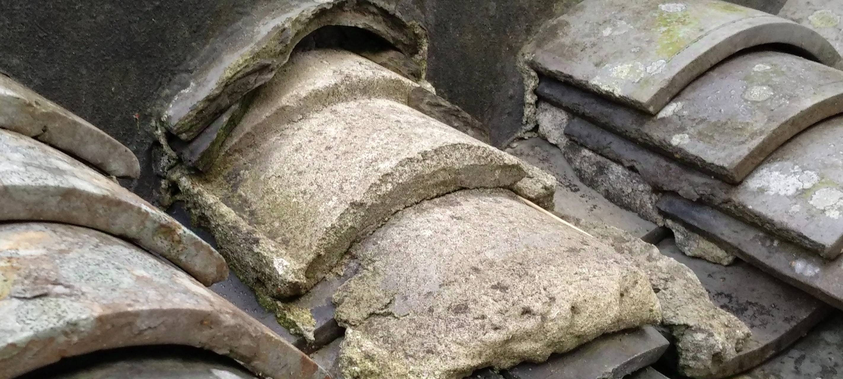 Bochum: Chinesischer Garten muss saniert werden