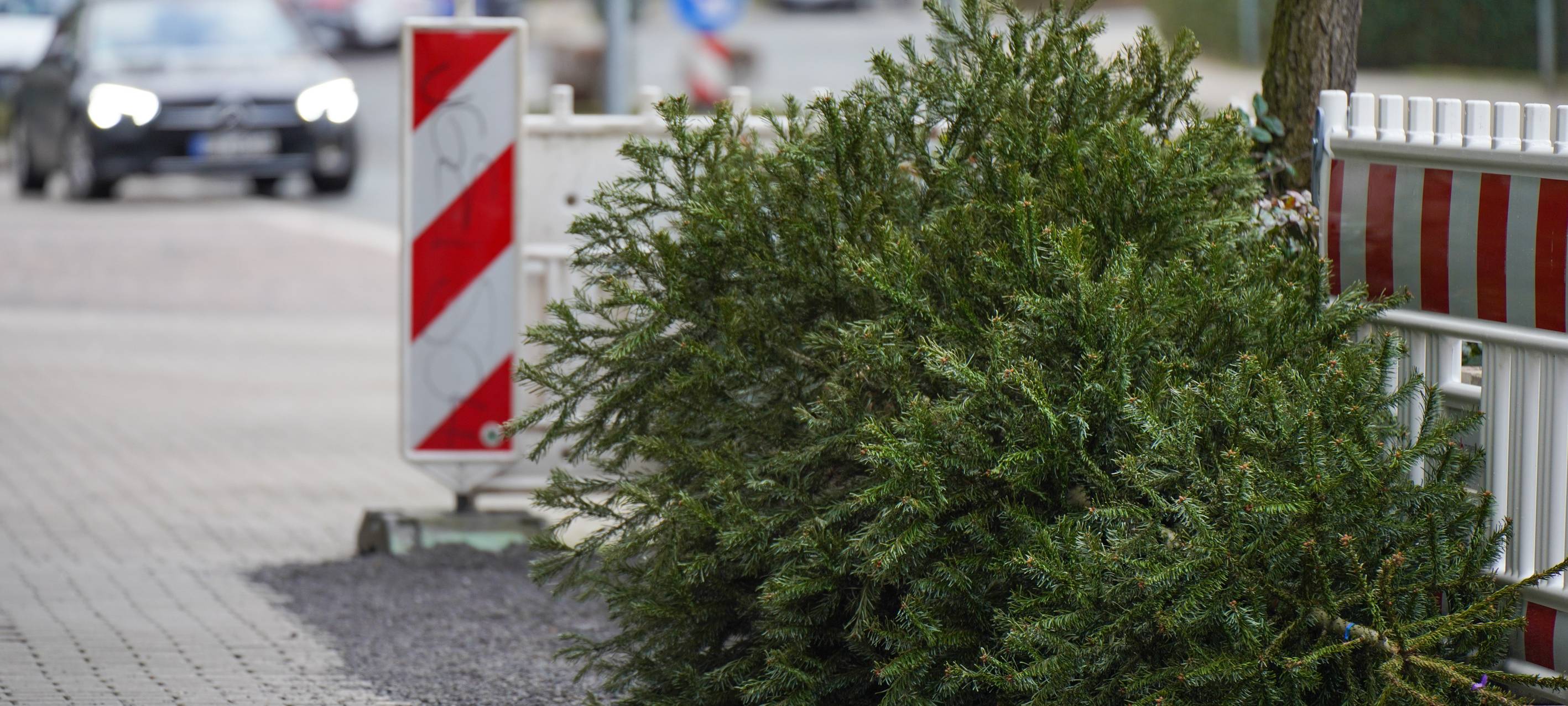 Weihnachtsbaumabholung in Bochum